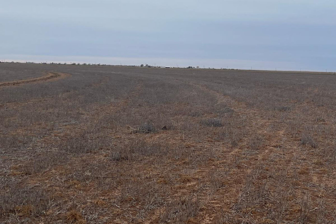 A vast, barren landscape of dry, brown earth stretches across the horizon under a cloudy sky. The ground is mostly barren, with faint tire tracks visible leading into the distance, suggesting the absence of vegetation in this expansive area.