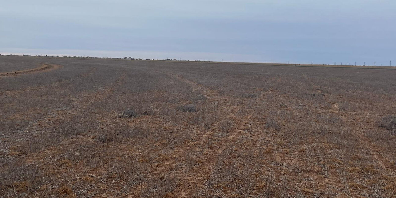 A vast, barren landscape of dry, brown earth stretches across the horizon under a cloudy sky. The ground is mostly barren, with faint tire tracks visible leading into the distance, suggesting the absence of vegetation in this expansive area.