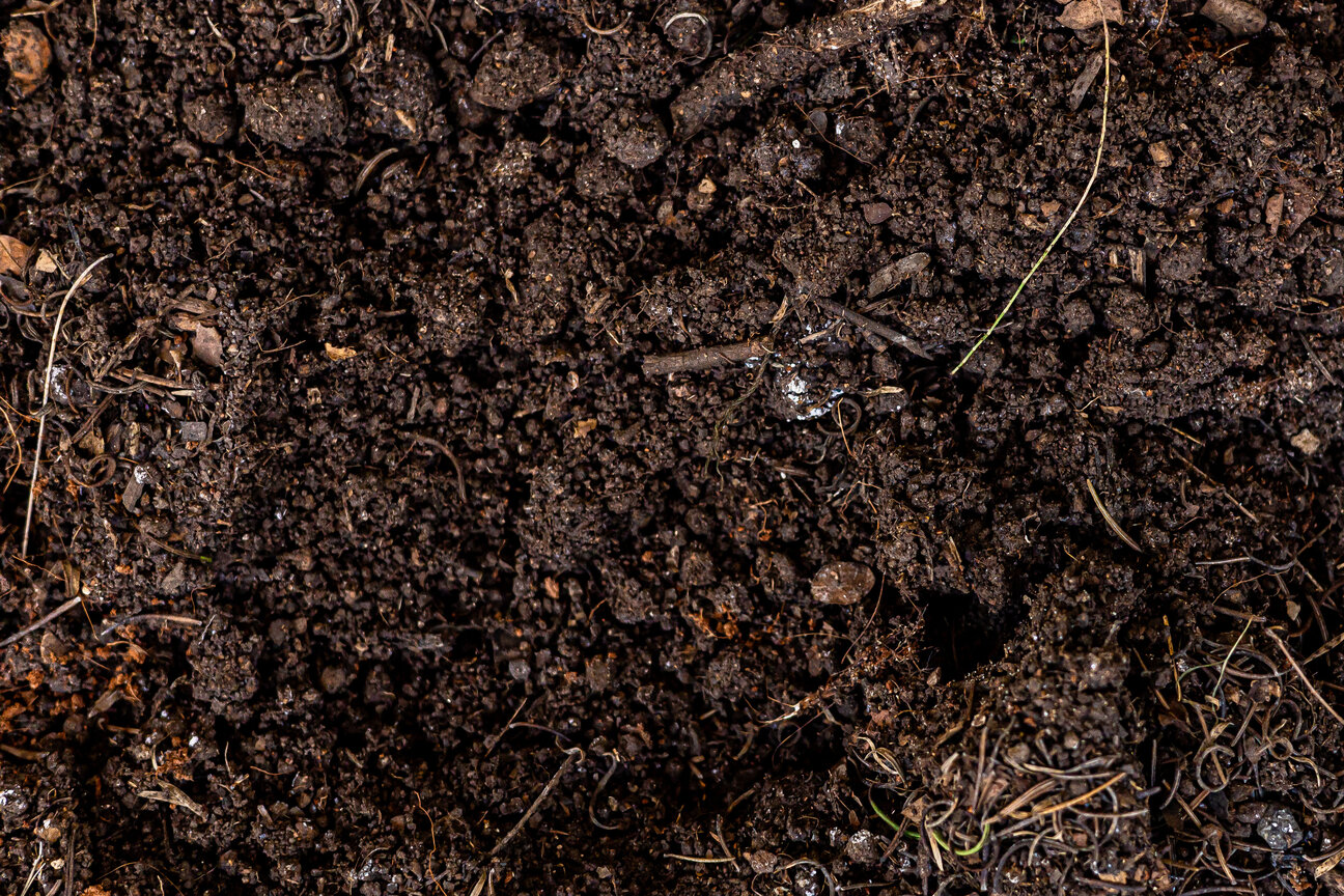 Close-up view of dark, rich soil, featuring granular textures and small organic materials. The surface is uneven, indicating a mixture of dirt, tiny roots, and decomposing matter, suggestive of fertile earth suitable for plant growth.