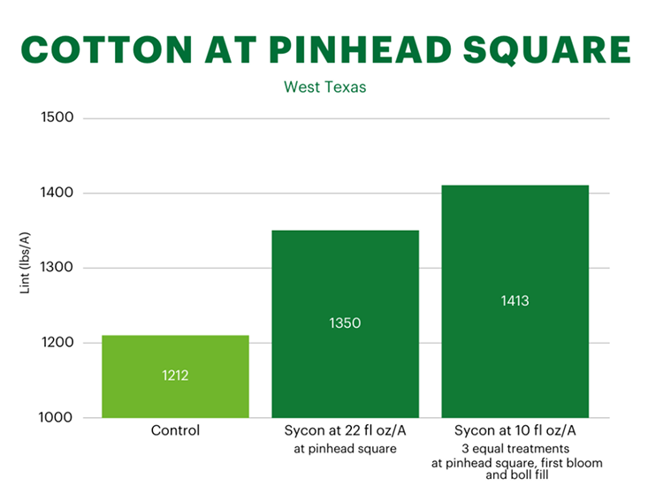 Bar graph illustrating cotton yield (lint in lbs/A) at Pinhead Square, West Texas. The control yielded 1,212 lbs/A, while Sycon at 22 fl oz/A resulted in 1,350 lbs/A, and Sycon at 10 fl oz/A produced 1,413 lbs/A, indicating varying treatment effects on cotton yield.