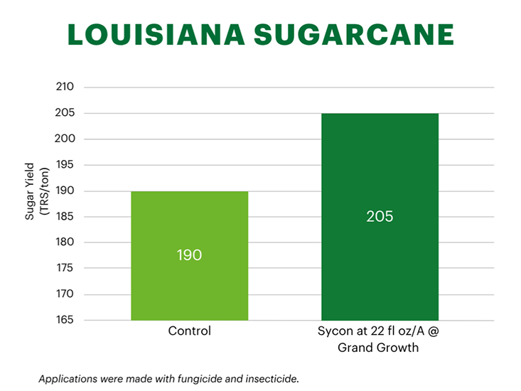 Bar chart titled "Louisiana Sugarcane" compares sugar yields in tons per acre. The control group yields 190 tons, while the Sycon treatment at 22 fluid ounces per acre achieves 205 tons. The chart shows a significant increase in yield with the Sycon treatment.