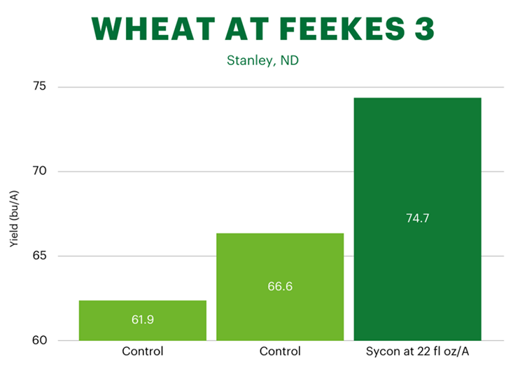 Bar graph displaying wheat yields at Feekes 3 in Stanley, ND. The control group shows yields of 61.9 and 66.6 bu/A, while the Sycon treatment at 22 fl oz/A shows a higher yield of 74.7 bu/A.