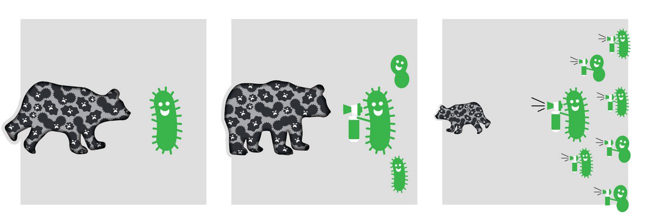 Image: When armed with the right tools and nutrition, good microbes can outcompete and outpopulate pathogens in the soil. HELM_SoilHealth_Graphic_2