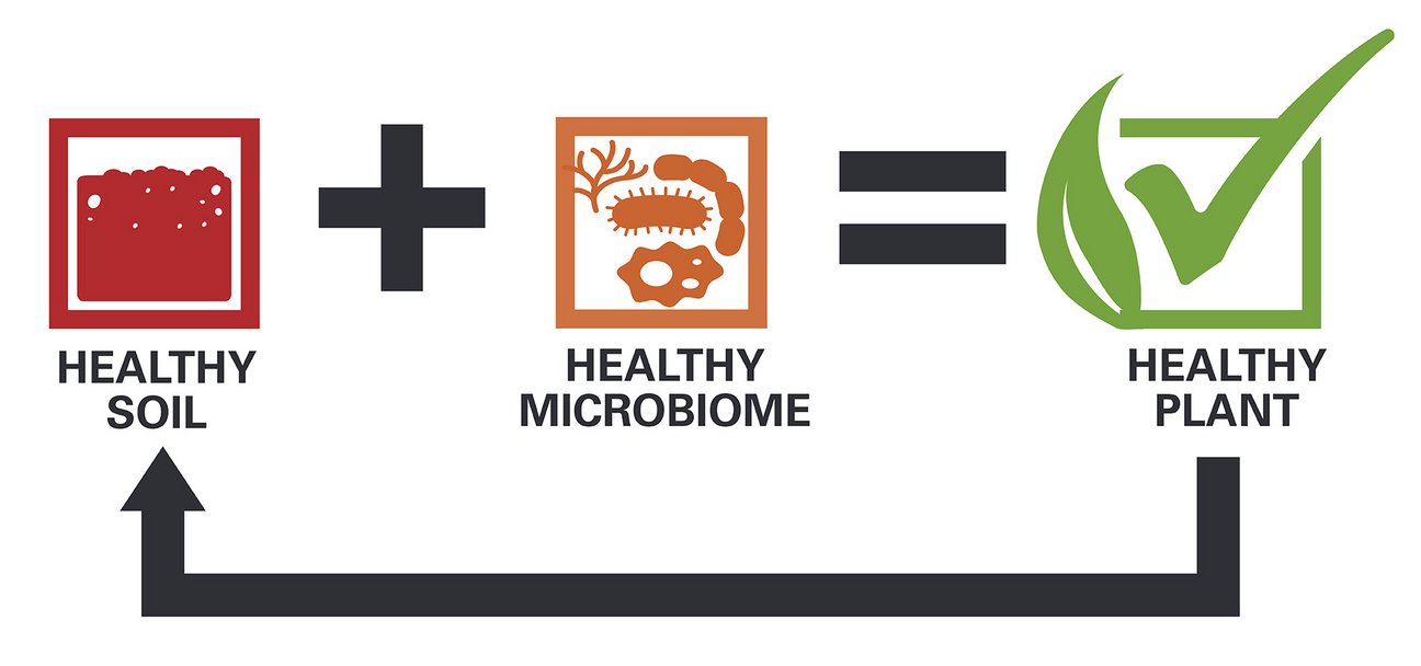 HELM_SoilHealth_Graphic_1